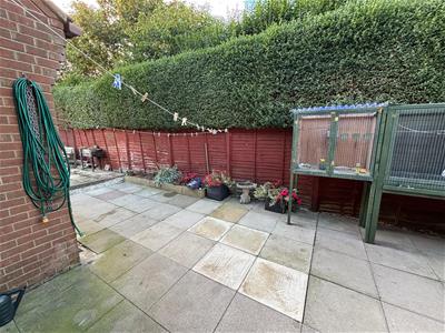 Picture 11
